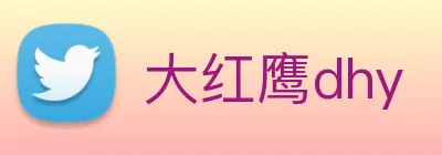 大红鹰dhy Logo